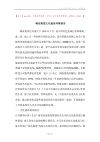 铜业集团文化建设考察报告.docx