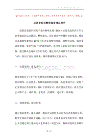 后进党组织整顿落实情况报告.docx