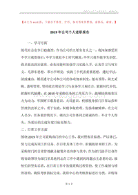 2019年公司个人述职报告.docx