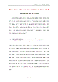 监察局副局长试用期工作总结.docx
