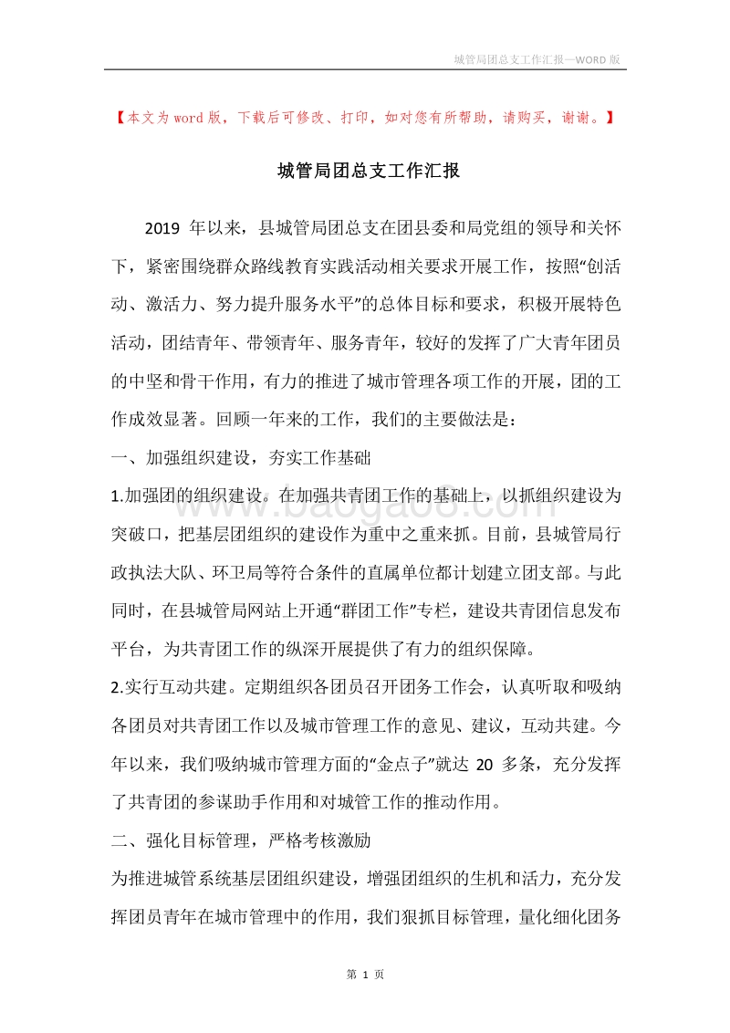 城管局团总支工作汇报.docx_第1页