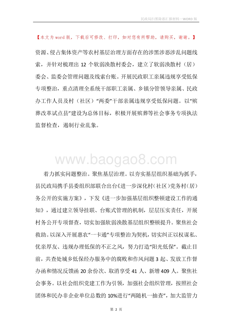 民政局扫黑除恶汇报材料.docx_第2页