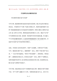 打造特色农业镇经验交流.docx