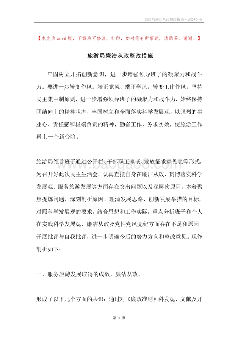 旅游局廉洁从政整改措施.docx_第1页