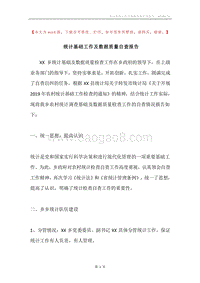 统计基础工作及数据质量自查报告.docx