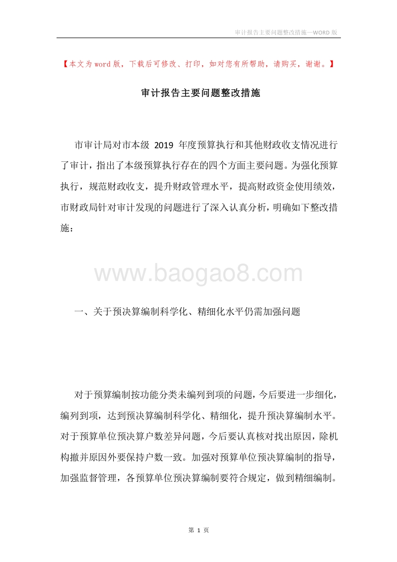 审计报告主要问题整改措施.docx_第1页
