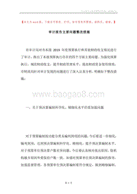 审计报告主要问题整改措施.docx