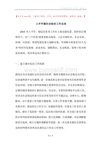 上半年镇社会综治工作总结.docx