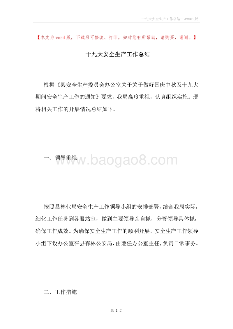 十九大安全生产工作总结.docx_第1页