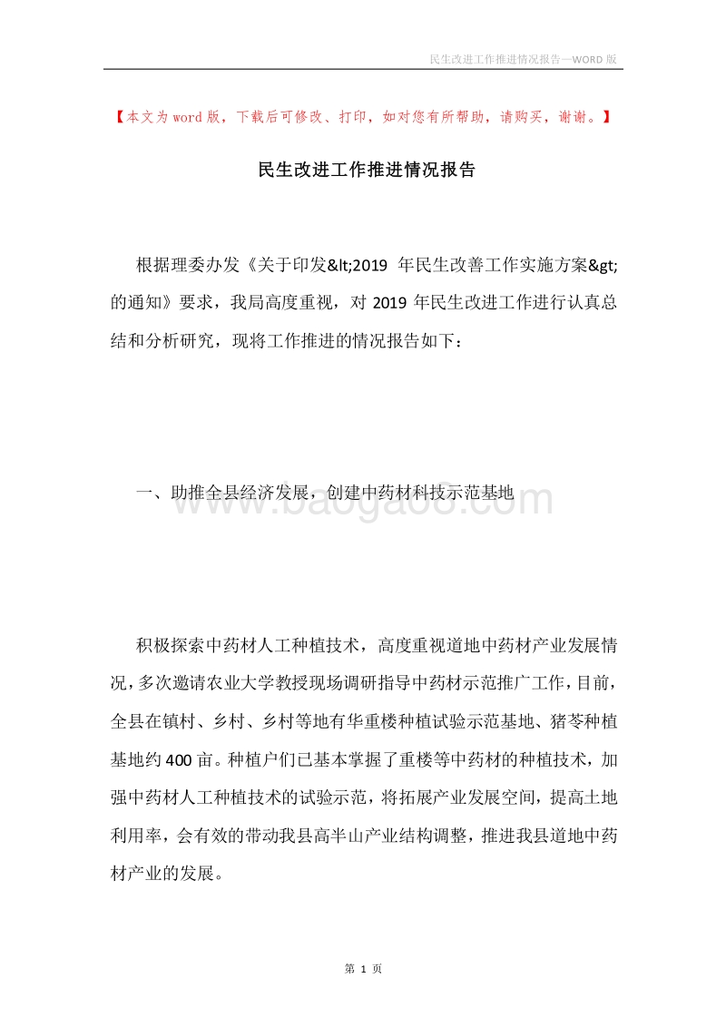 民生改进工作推进情况报告.docx_第1页