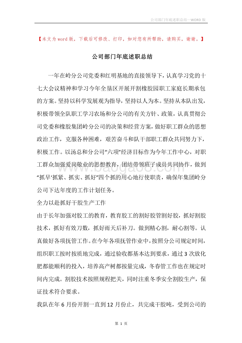 公司部门年底述职总结.docx_第1页