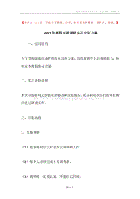 2019年寒假市场调研实习企划方案.docx