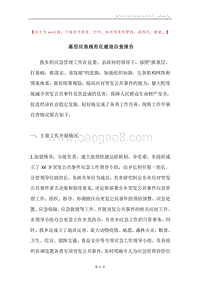 基层应急规范化建设自查报告.docx