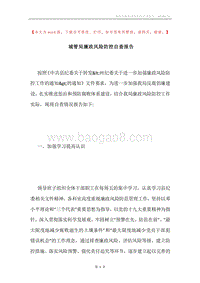 城管局廉政风险防控自查报告.docx