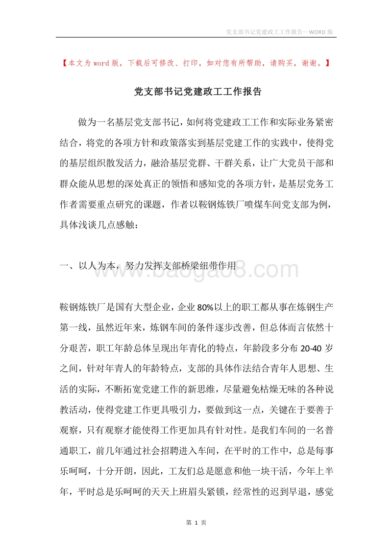 党支部书记党建政工工作报告.docx_第1页