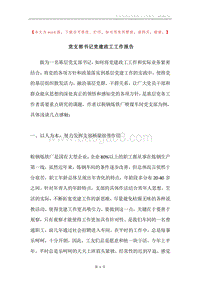 党支部书记党建政工工作报告.docx