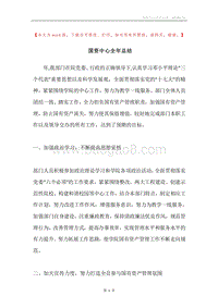 国资中心全年总结.docx