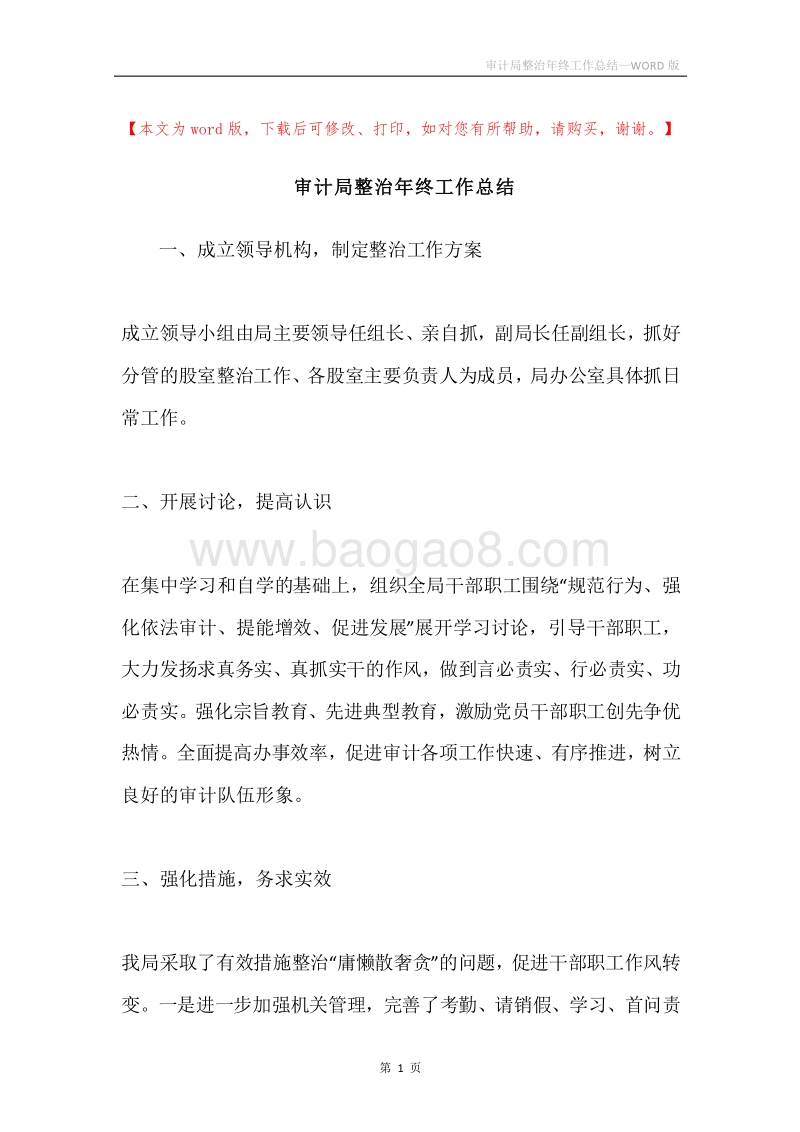 审计局整治年终工作总结.docx_第1页