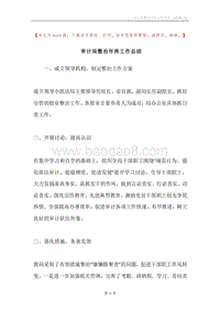 审计局整治年终工作总结.docx