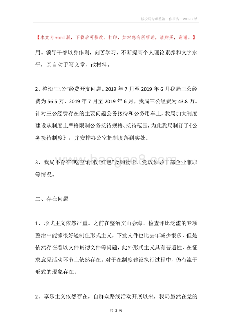 城投局专项整治工作报告.docx_第2页