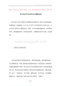 审计局从严从实作风大整顿总结.docx