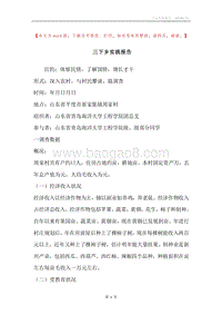 三下乡实践报告.docx