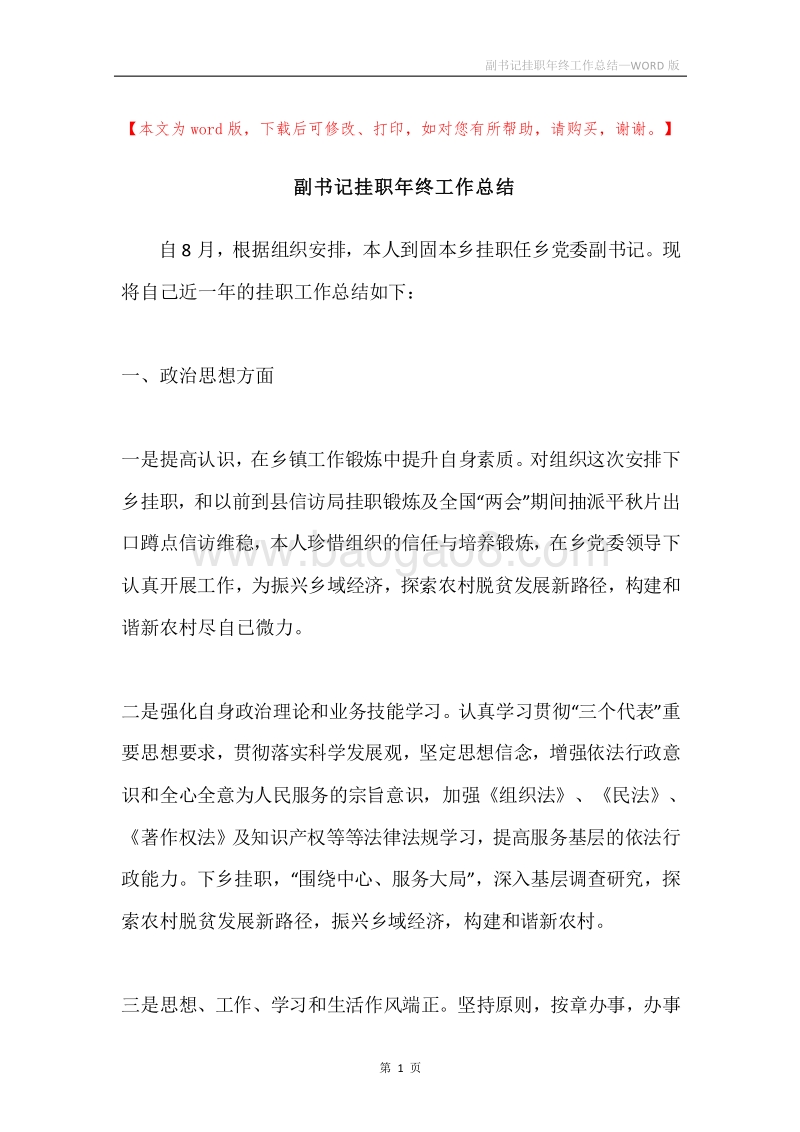 副书记挂职年终工作总结.docx_第1页