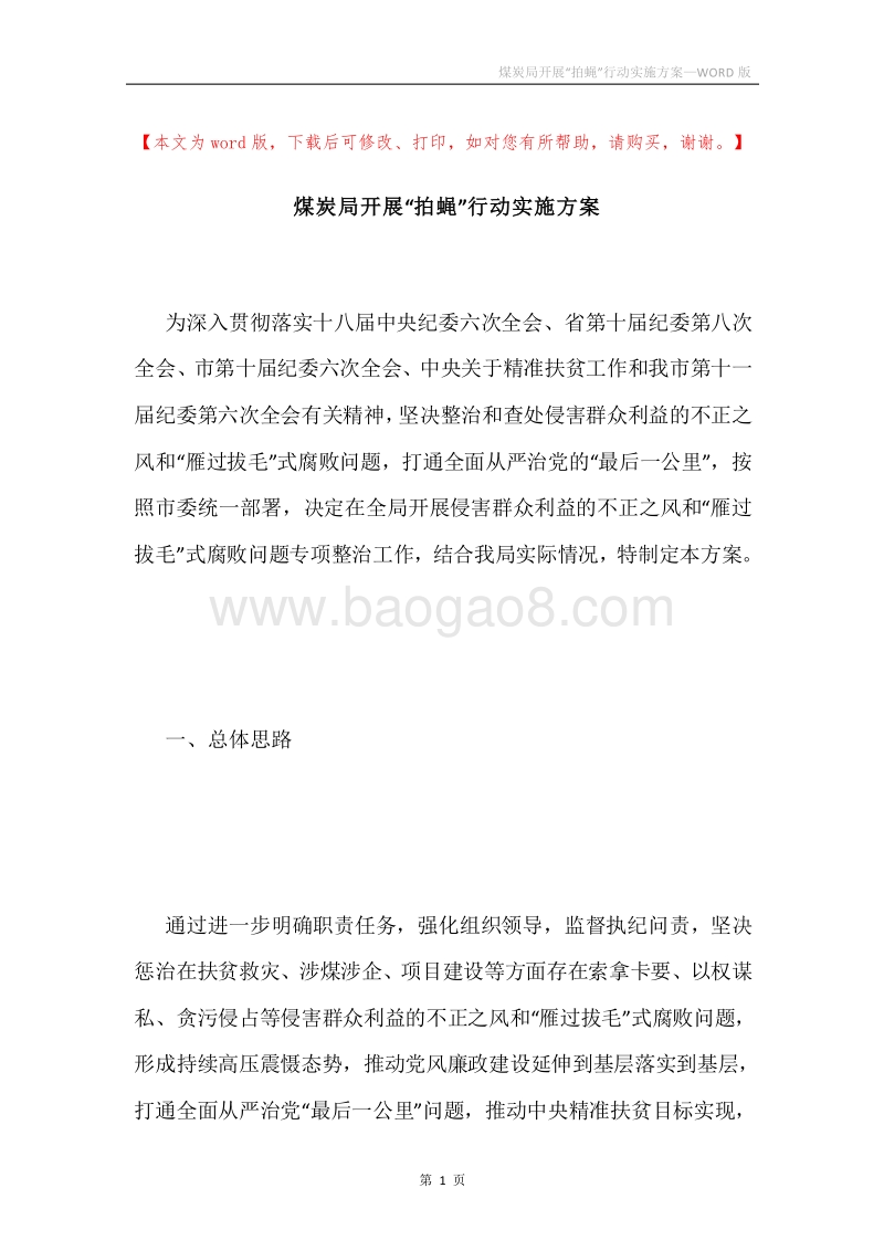 煤炭局开展“拍蝇”行动实施方案.docx_第1页