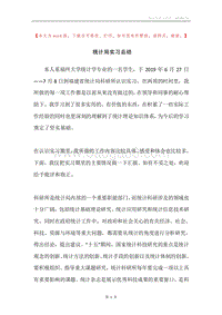 统计局实习总结.docx