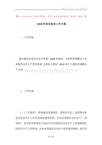 2019年县安监局工作方案.docx