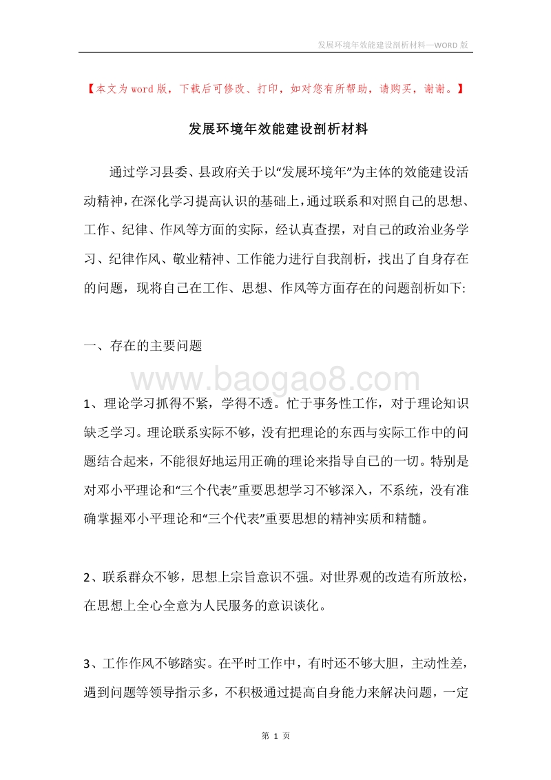 发展环境年效能建设剖析材料.docx_第1页