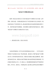 “地沟油”专项整治情况总结.docx