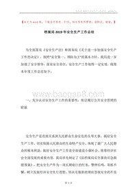 档案局2019年安全生产工作总结.docx