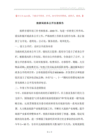 旅游局政务公开自查报告.docx
