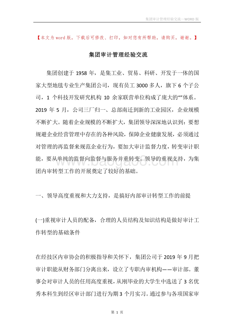 集团审计管理经验交流.docx_第1页