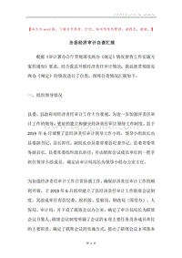 全县经济审计自查汇报.docx