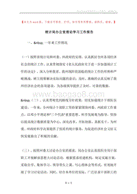 统计局办公室理论学习工作报告.docx
