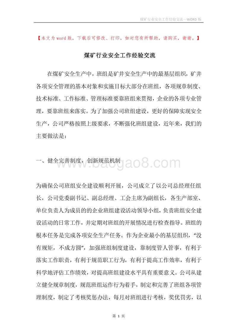 煤矿行业安全工作经验交流.docx_第1页