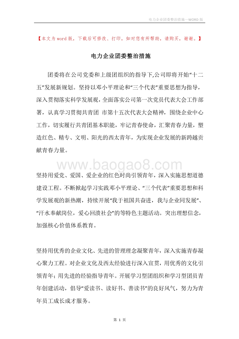 电力企业团委整治措施.docx_第1页