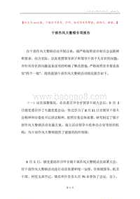 干部作风大整顿专项报告.docx