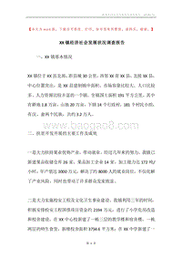 XX镇经济社会发展状况调查报告.docx