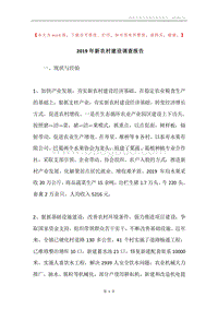 2019年新农村建设调查报告.docx