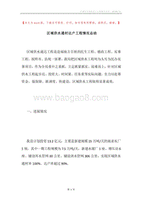 区域供水通村达户工程情况总结.docx