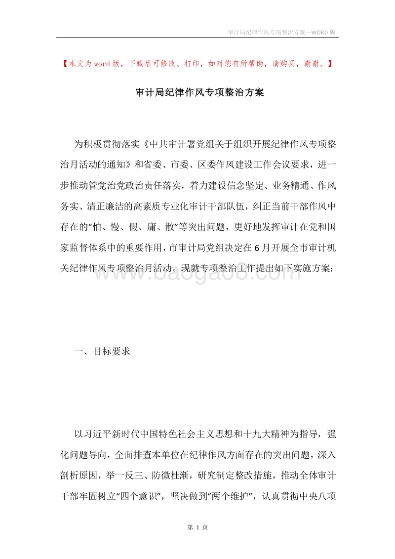 审计局纪律作风专项整治方案.docx_第1页