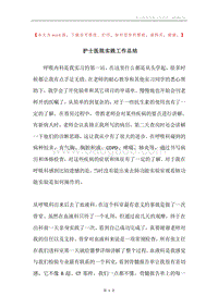 护士医院实践工作总结.docx