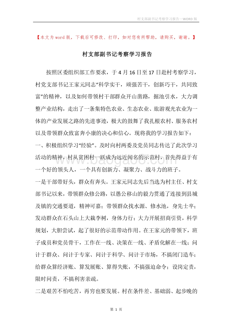 村支部副书记考察学习报告.docx_第1页