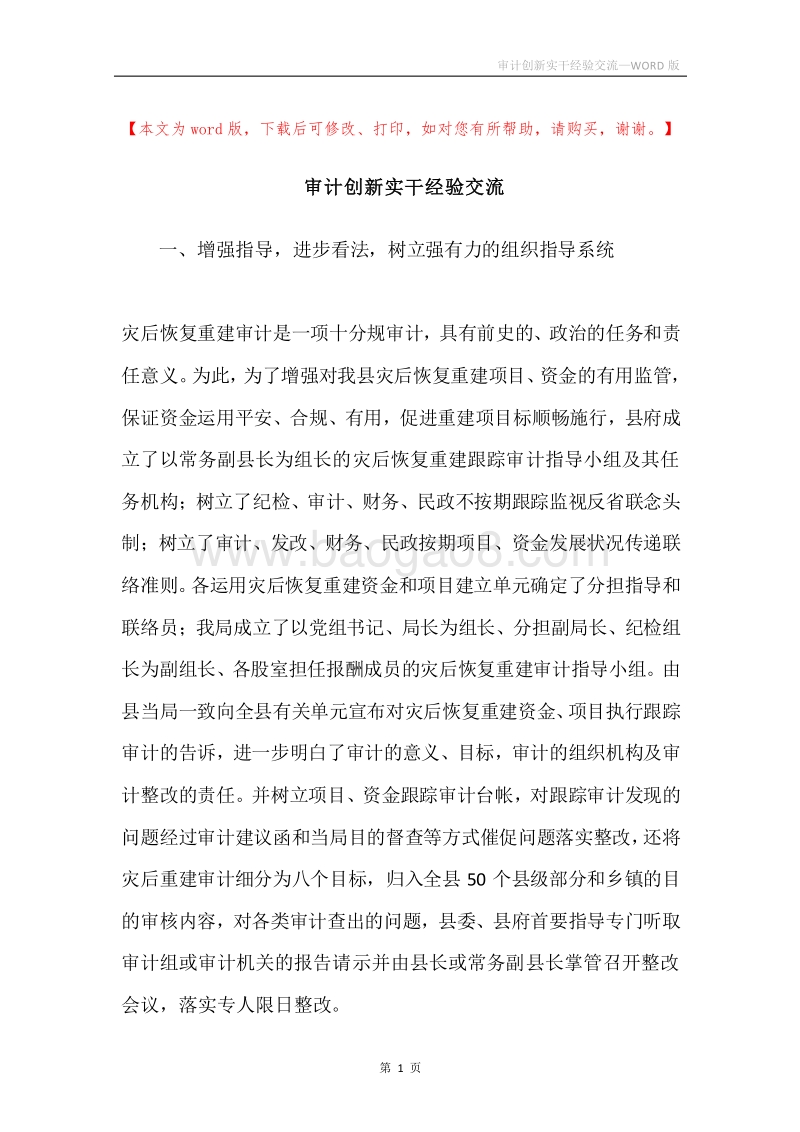 审计创新实干经验交流.docx_第1页