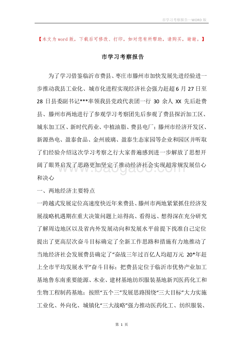市学习考察报告.docx_第1页