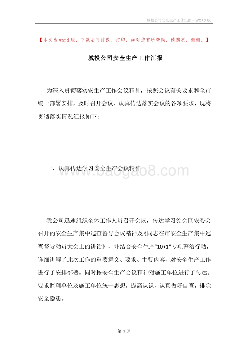 城投公司安全生产工作汇报.docx_第1页
