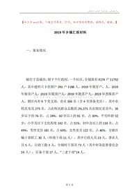 2019年乡镇汇报材料.docx